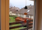 Seeadler