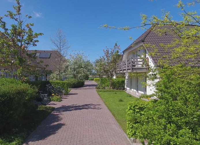 Dünensand