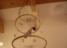 Seeadler