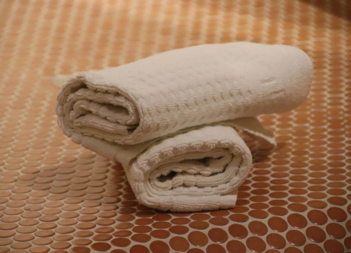 Mauerschwalbe